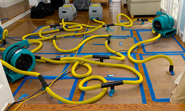 Professional Crawl Space Water Removal technician working in Bandon, OR